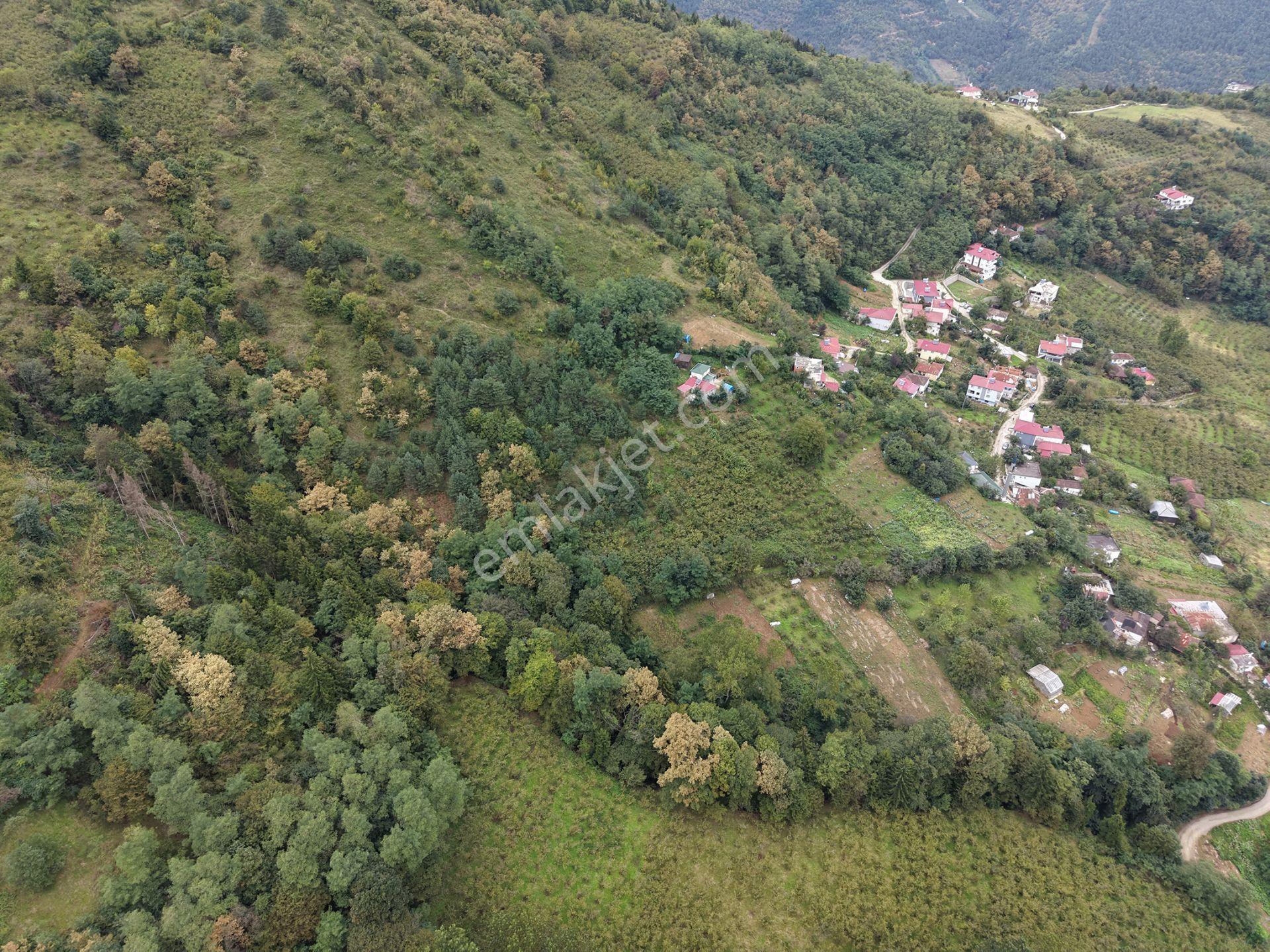 Trabzon Maçka Öğütlüde Satılık Arazi — fotoğraf 13