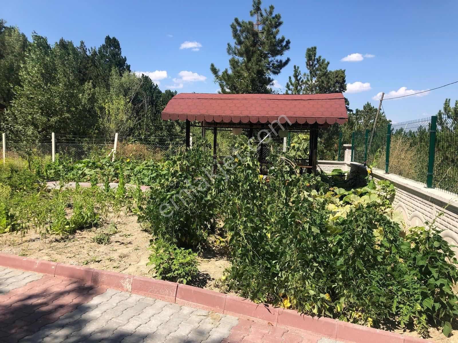 Re/max Fırtınadan Eldivanda 850 M² Arsalı Müstakil Ev — fotoğraf 2