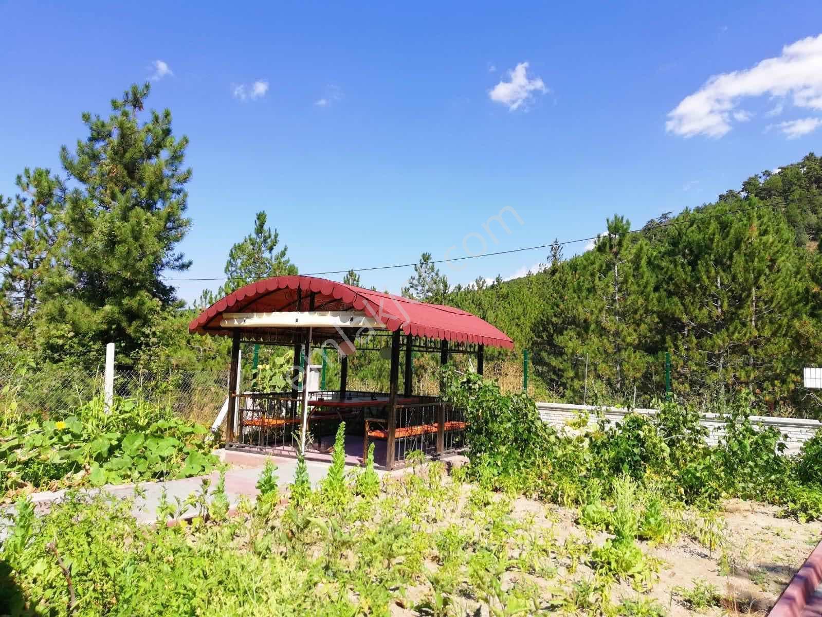 Re/max Fırtınadan Eldivanda 850 M² Arsalı Müstakil Ev — fotoğraf 10