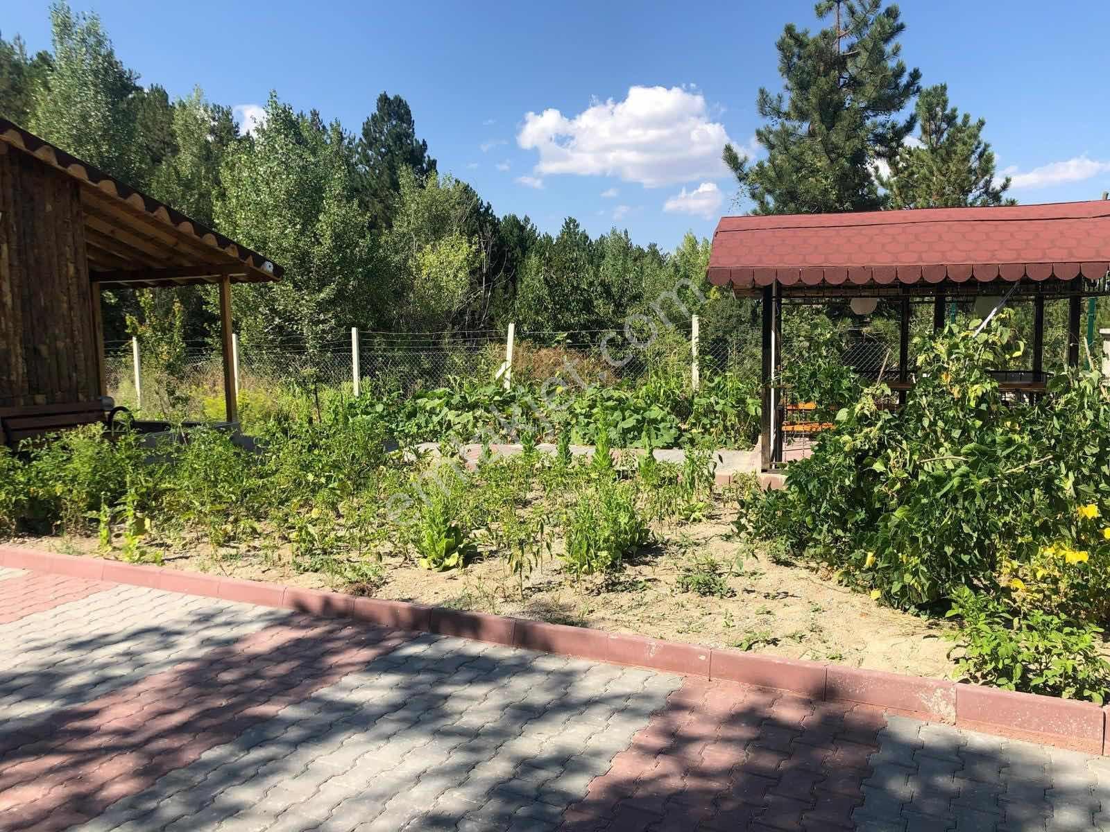 Re/max Fırtınadan Eldivanda 850 M² Arsalı Müstakil Ev — fotoğraf 12