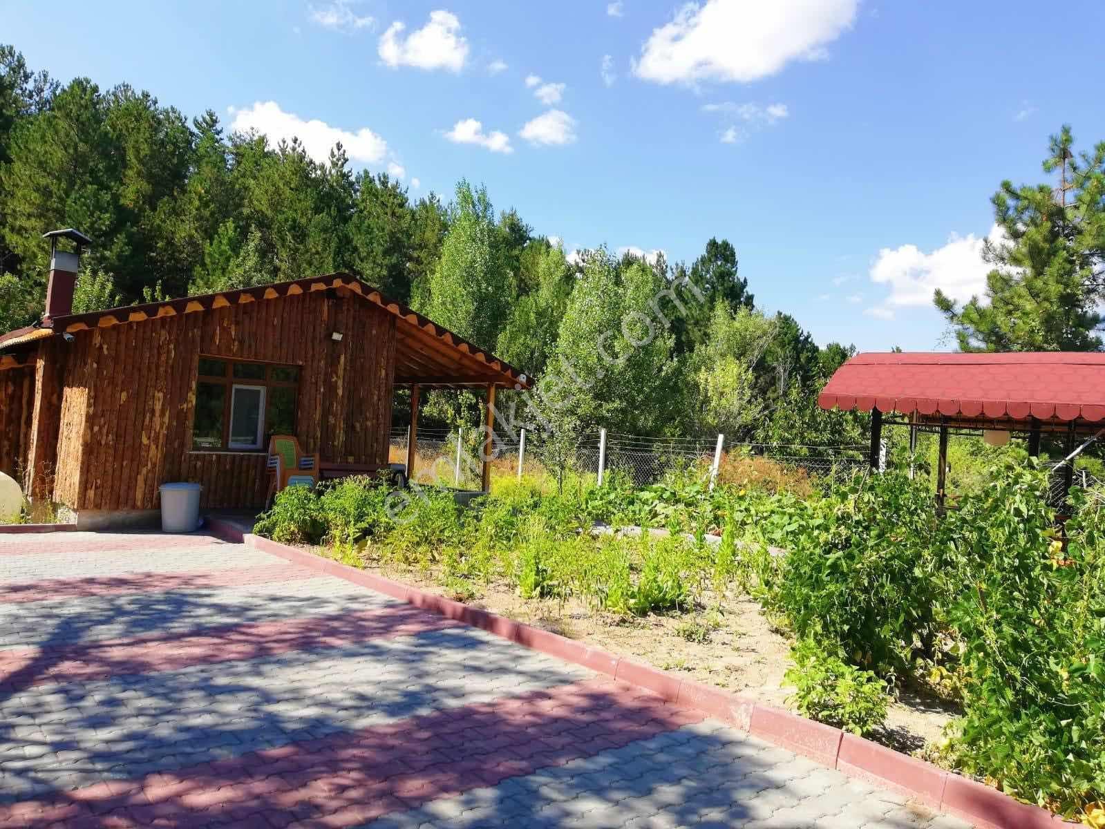 Re/max Fırtınadan Eldivanda 850 M² Arsalı Müstakil Ev — fotoğraf 27