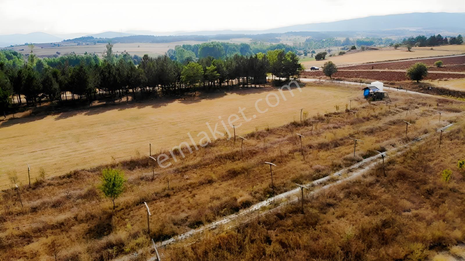 Değişim Emlak'tan Daday Da Satılık Tarla — fotoğraf 9