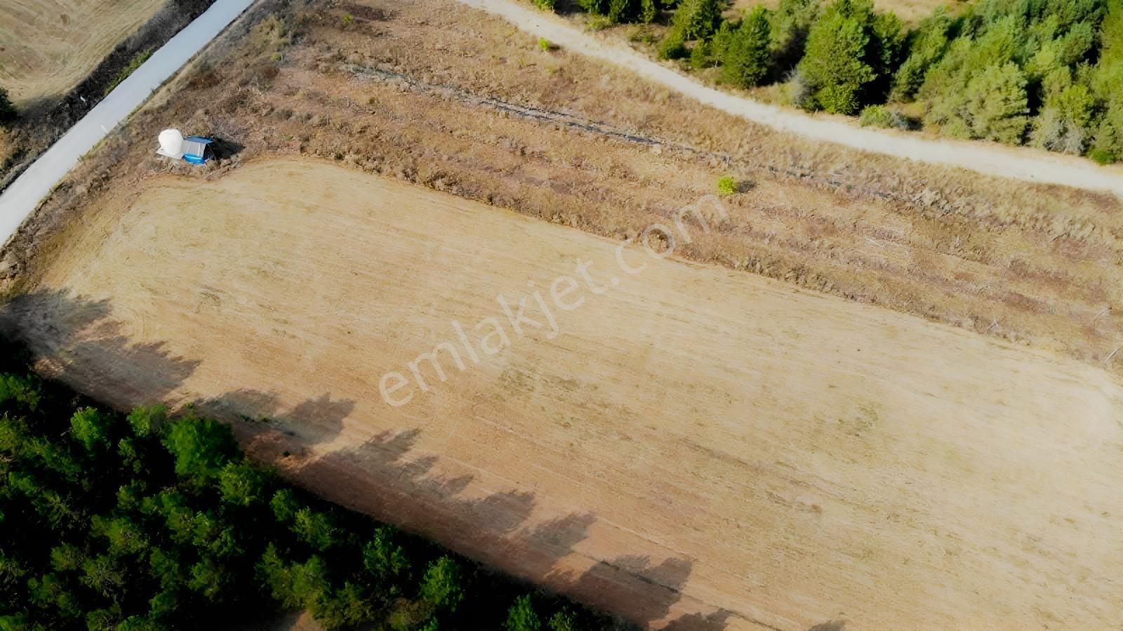 Değişim Emlak'tan Daday Da Satılık Tarla — fotoğraf 11