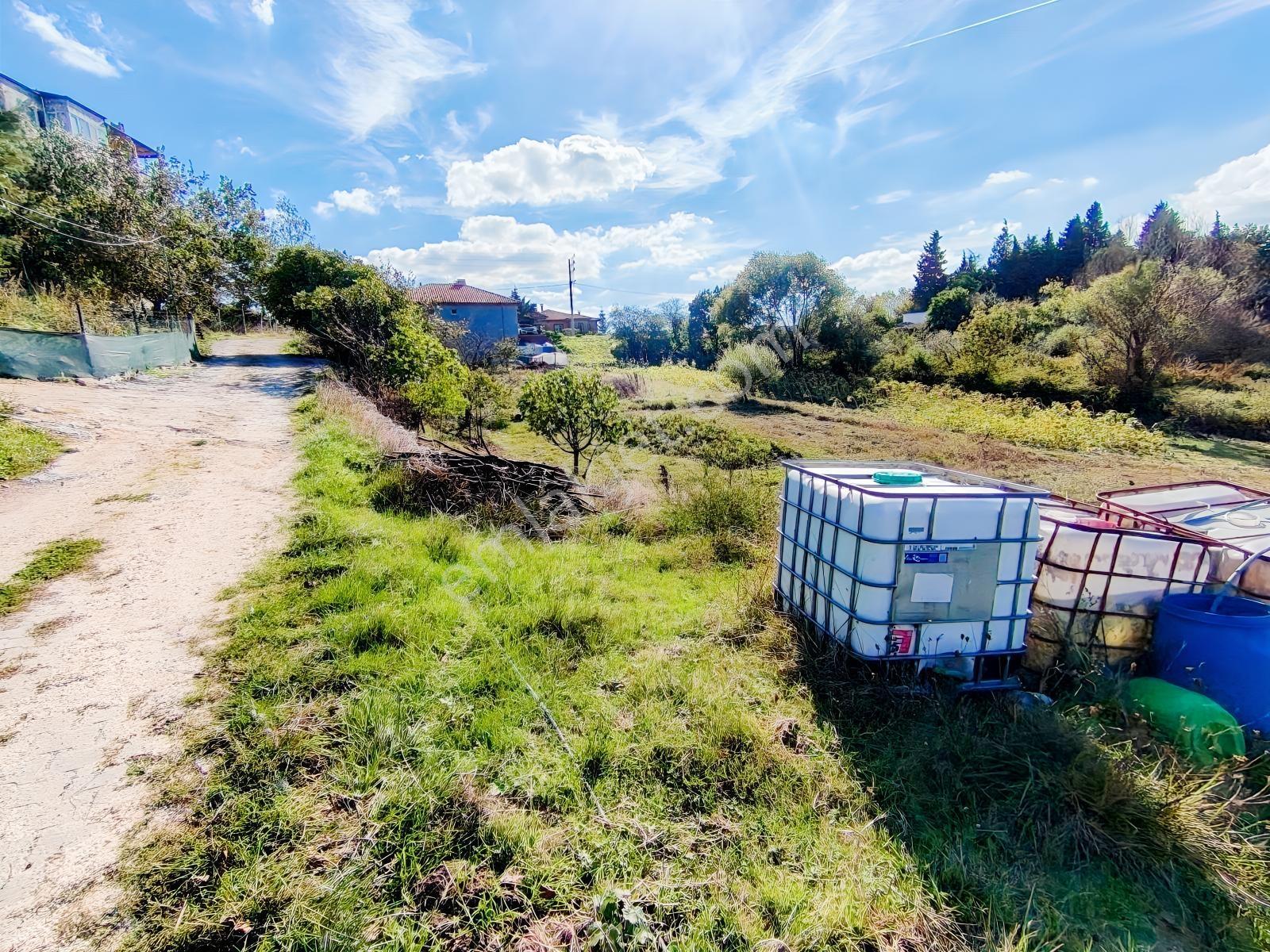 Yalova Sugören Köy İçi İmarlı 1.160 M2 Arsa — fotoğraf 4
