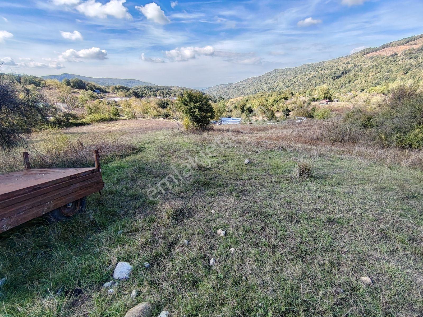Yalova Sugören Köy İçi İmarlı 1.160 M2 Arsa — fotoğraf 9