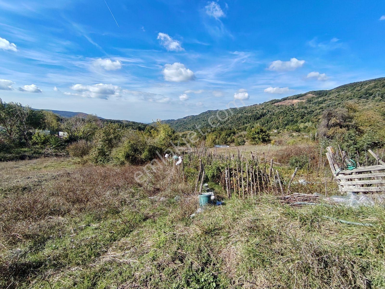 Yalova Sugören Köy İçi İmarlı 1.160 M2 Arsa — fotoğraf 11