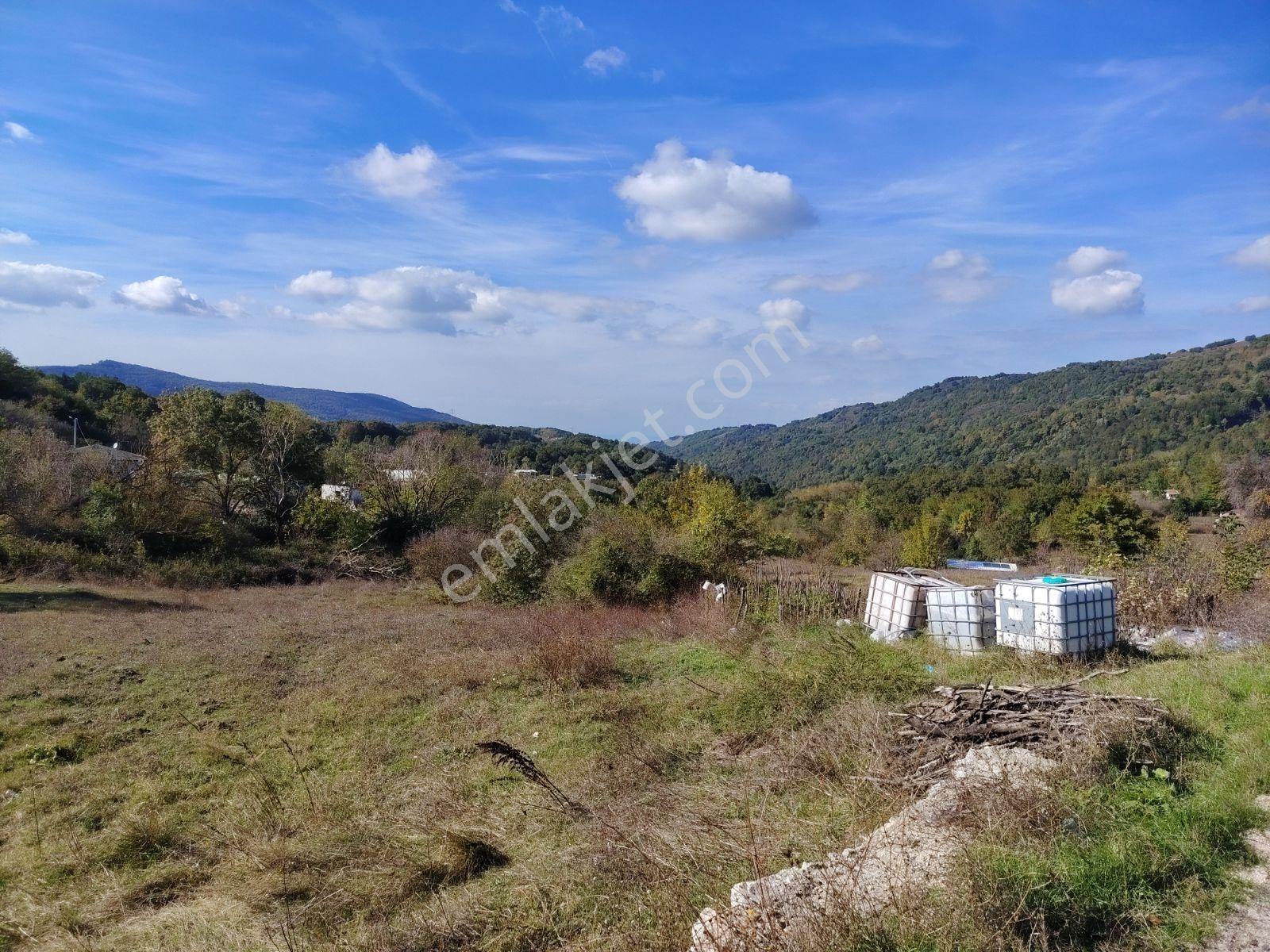 Yalova Sugören Köy İçi İmarlı 1.160 M2 Arsa — fotoğraf 13