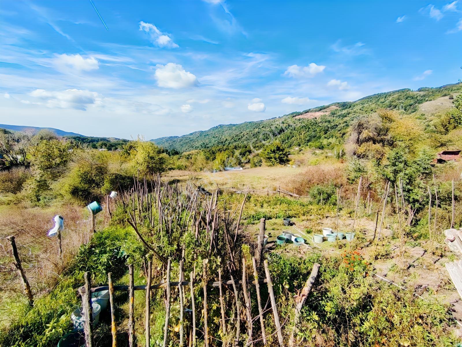 Yalova Sugören Köy İçi İmarlı 1.160 M2 Arsa — fotoğraf 14