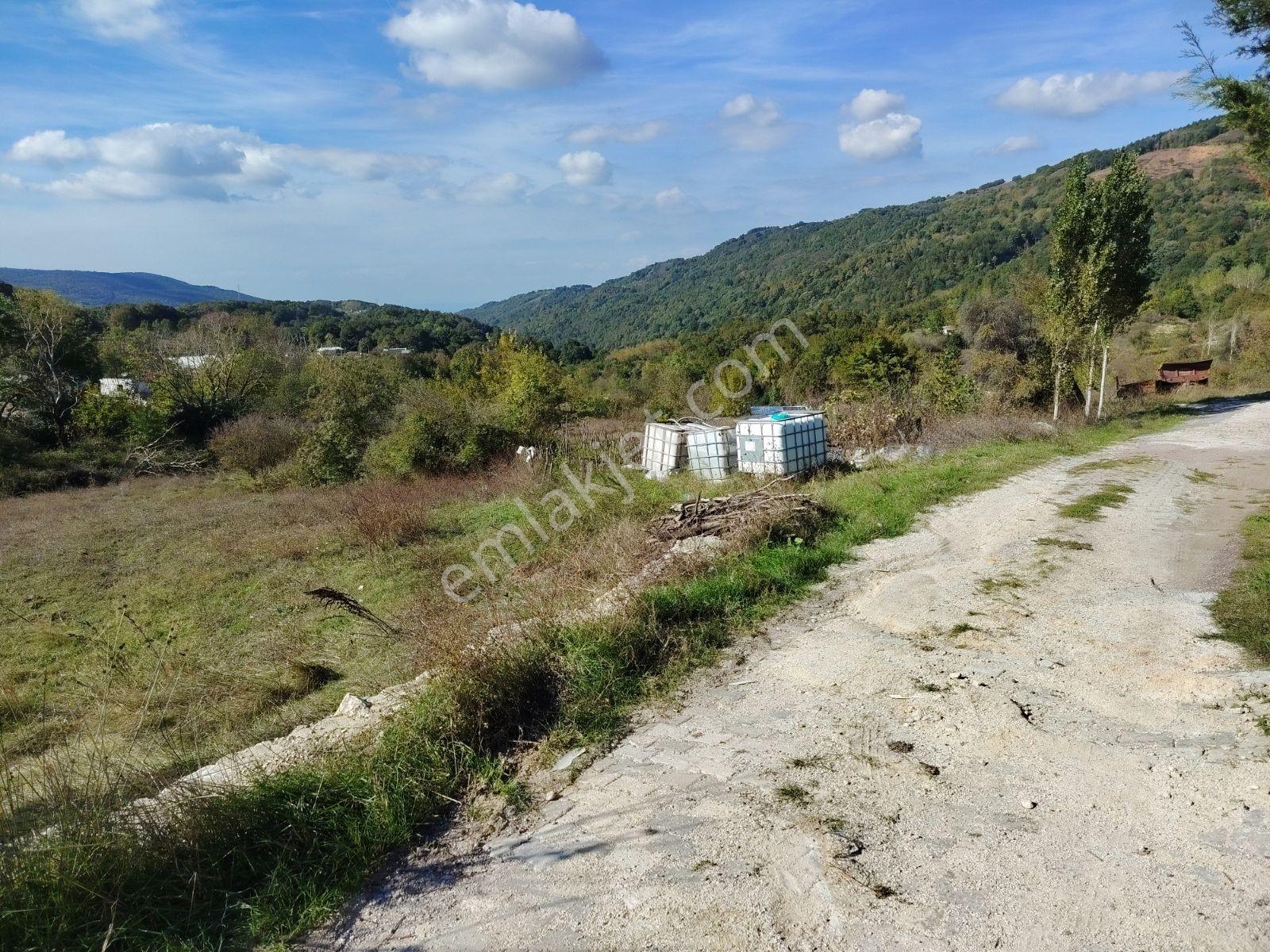 Yalova Sugören Köy İçi İmarlı 1.160 M2 Arsa — fotoğraf 16