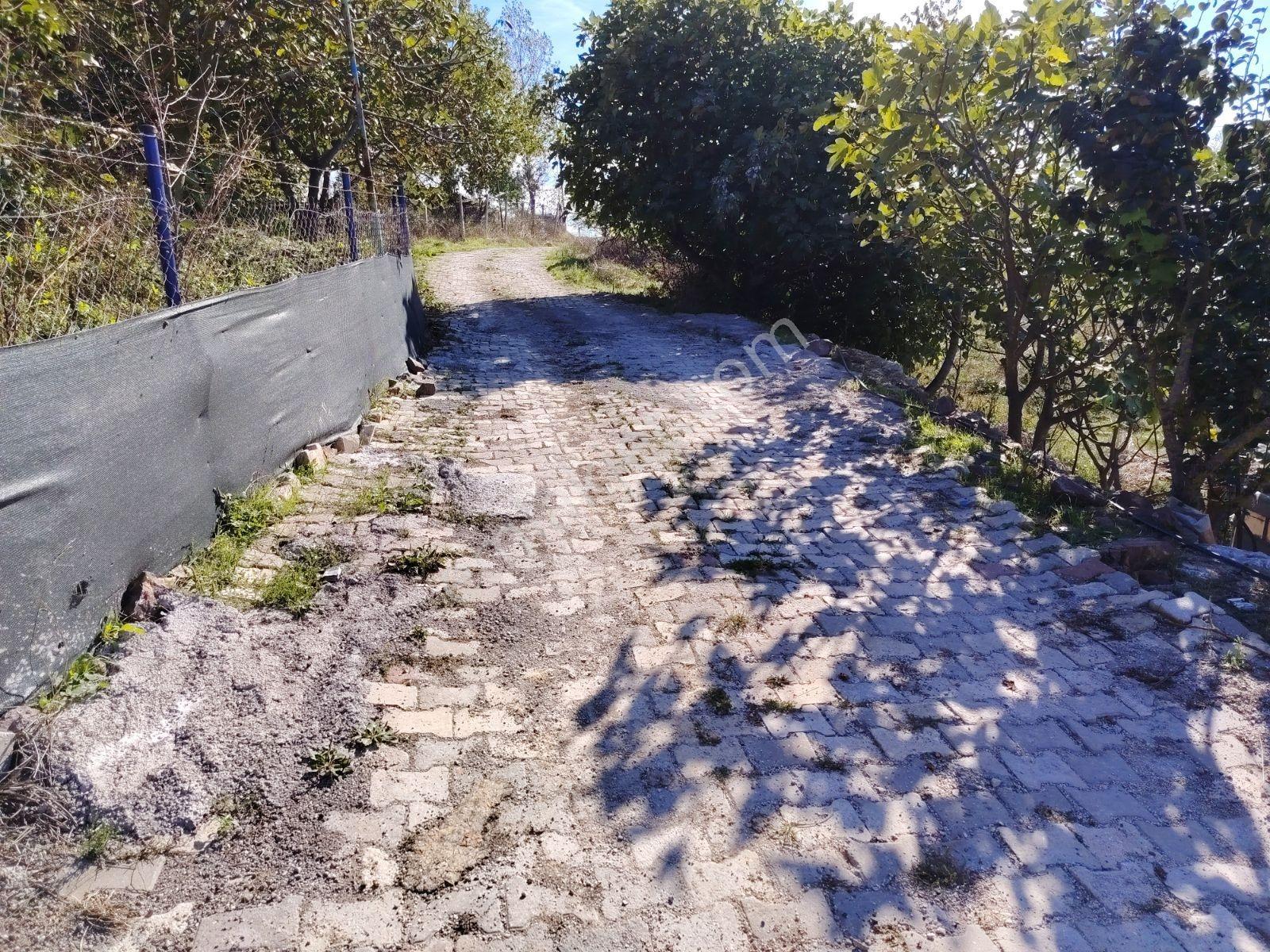 Yalova Sugören Köy İçi İmarlı 1.160 M2 Arsa — fotoğraf 17
