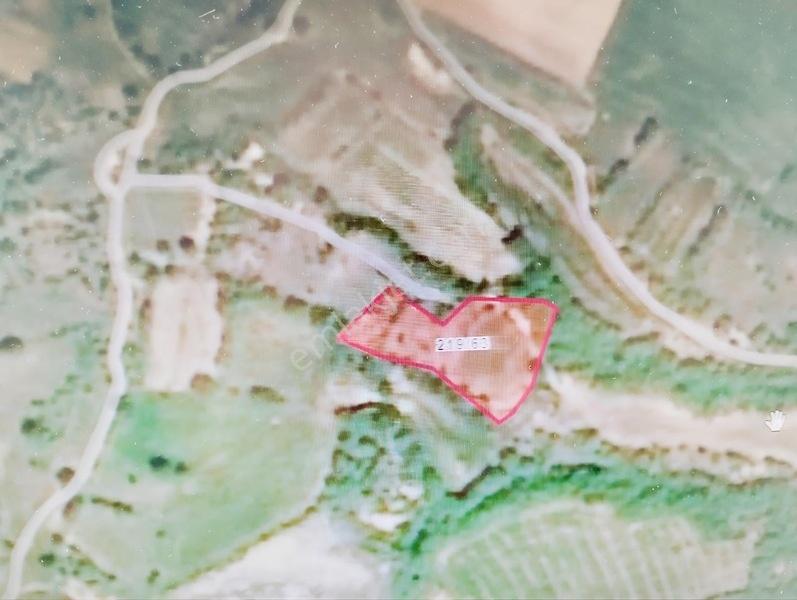 Eşref Emlak,Trakya'Nın Su Diyarı Kaynarca'Da Satılık Tarla