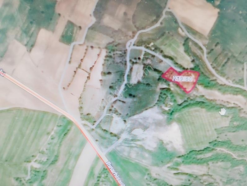 Eşref Emlak,trakya'nın Su Diyarı Kaynarca'da Satılık Tarla — fotoğraf 3
