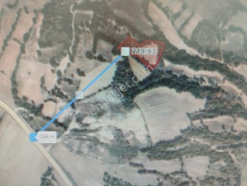 Eşref Emlak,trakya'nın Su Diyarı Kaynarca'da Satılık Tarla — fotoğraf 7