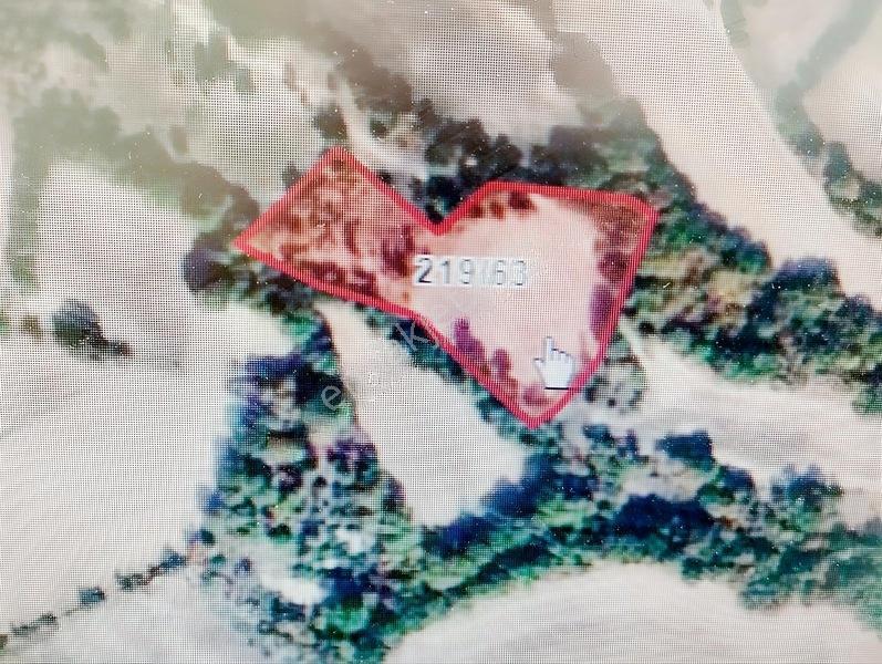 Eşref Emlak,trakya'nın Su Diyarı Kaynarca'da Satılık Tarla — fotoğraf 8