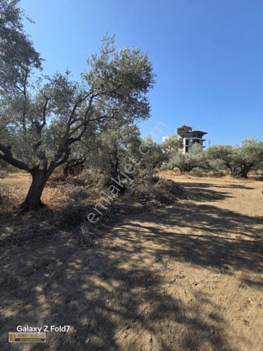 3 Kat İmarlı Çift Dairelik Arsa — fotoğraf 2