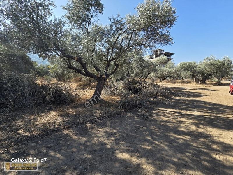 3 Kat İmarlı Çift Dairelik Arsa — fotoğraf 3