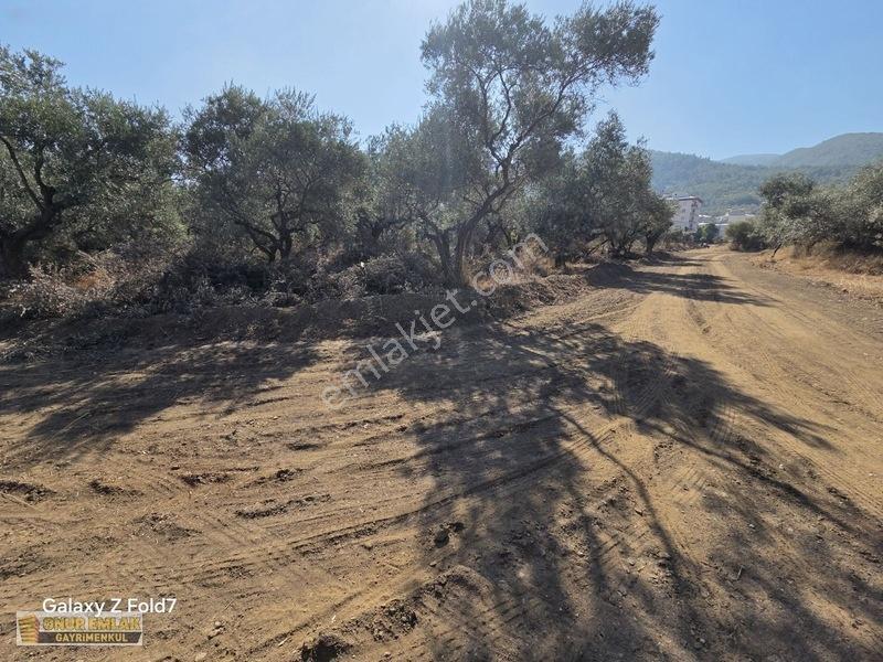 3 Kat İmarlı Çift Dairelik Arsa — fotoğraf 4