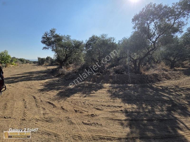 3 Kat İmarlı Çift Dairelik Arsa — fotoğraf 5