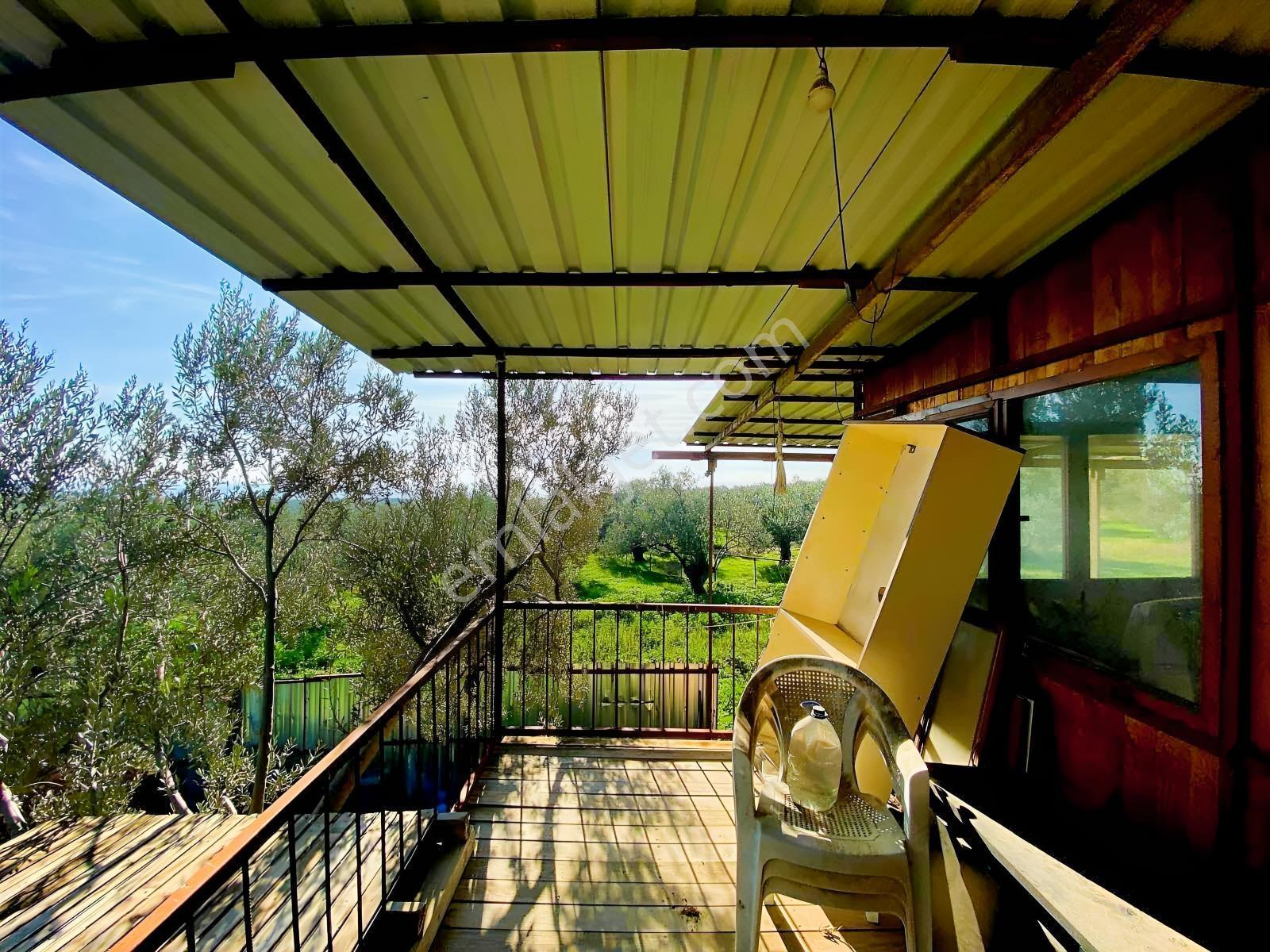 Güçlü Kardeşler Yeşilyurtda 1440m2 Çiftlik Tadında Zeytinlik — fotoğraf 22
