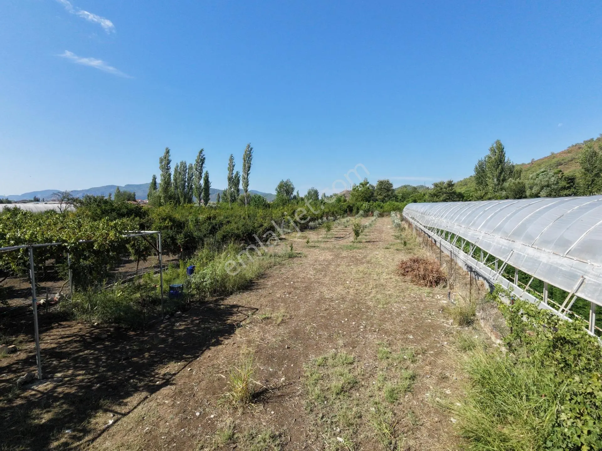 Ortaca Çaylı Da 1.870 M2 Satılık Tarla, Elektrik Ve Su Mevcut — fotoğraf 2