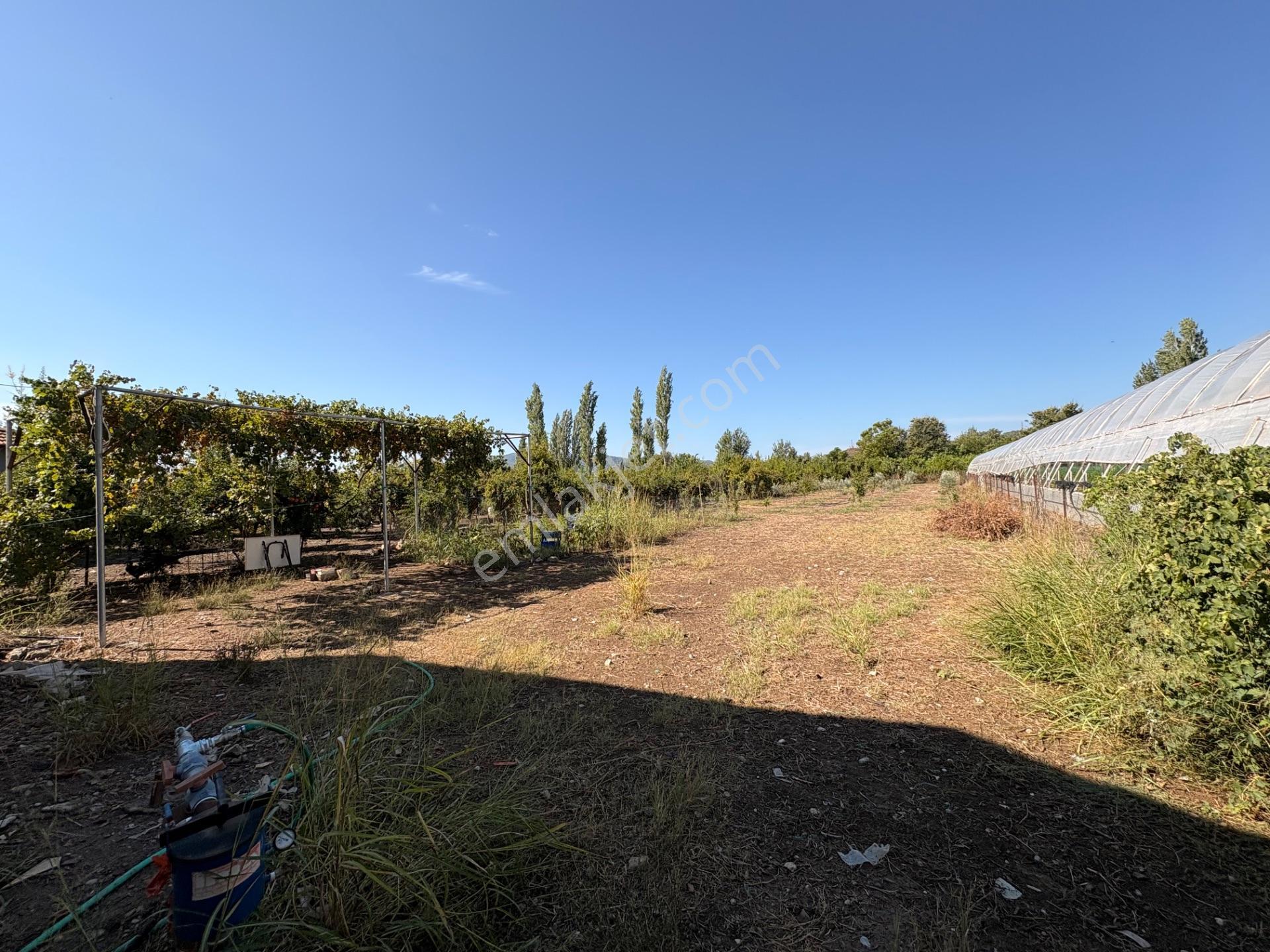 Ortaca Çaylı Da 1.870 M2 Satılık Tarla, Elektrik Ve Su Mevcut — fotoğraf 6