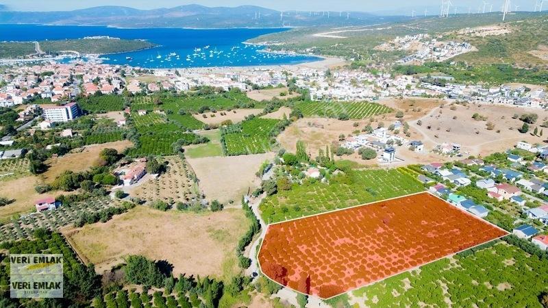 Seferihisar Sığacık Karagöl Mevkiinde 6.474 M² Mandalina Bahçesi — fotoğraf 2