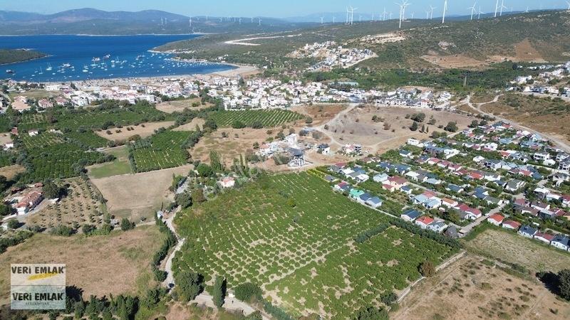 Seferihisar Sığacık Karagöl Mevkiinde 6.474 M² Mandalina Bahçesi — fotoğraf 8