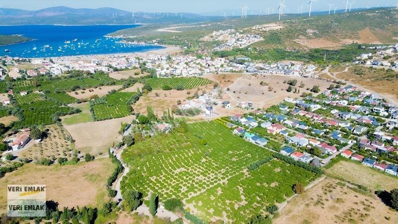 Seferihisar Sığacık Karagöl Mevkiinde 6.474 M² Mandalina Bahçesi — fotoğraf 9