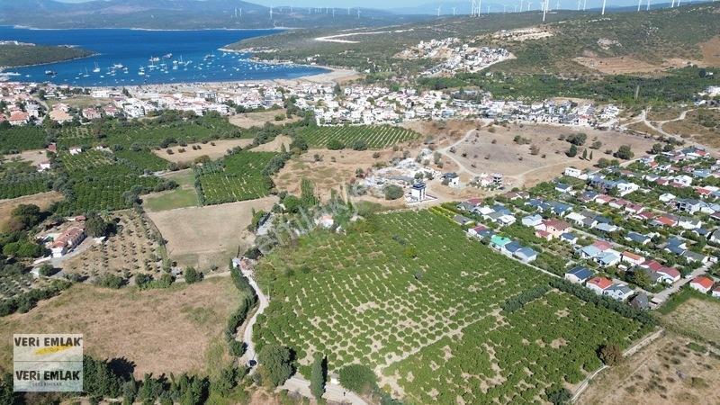 Seferihisar Sığacık Karagöl Mevkiinde 6.474 M² Mandalina Bahçesi — fotoğraf 10