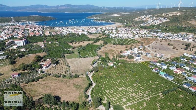 Seferihisar Sığacık Karagöl Mevkiinde 6.474 M² Mandalina Bahçesi — fotoğraf 11
