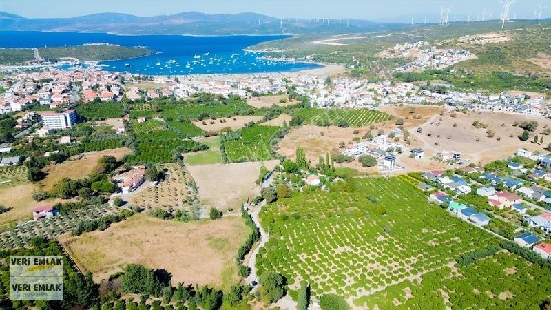 Seferihisar Sığacık Karagöl Mevkiinde 6.474 M² Mandalina Bahçesi — fotoğraf 12