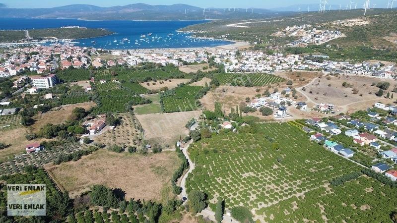 Seferihisar Sığacık Karagöl Mevkiinde 6.474 M² Mandalina Bahçesi — fotoğraf 13