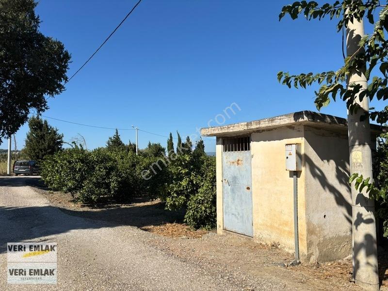 Seferihisar Sığacık Karagöl Mevkiinde 6.474 M² Mandalina Bahçesi — fotoğraf 17