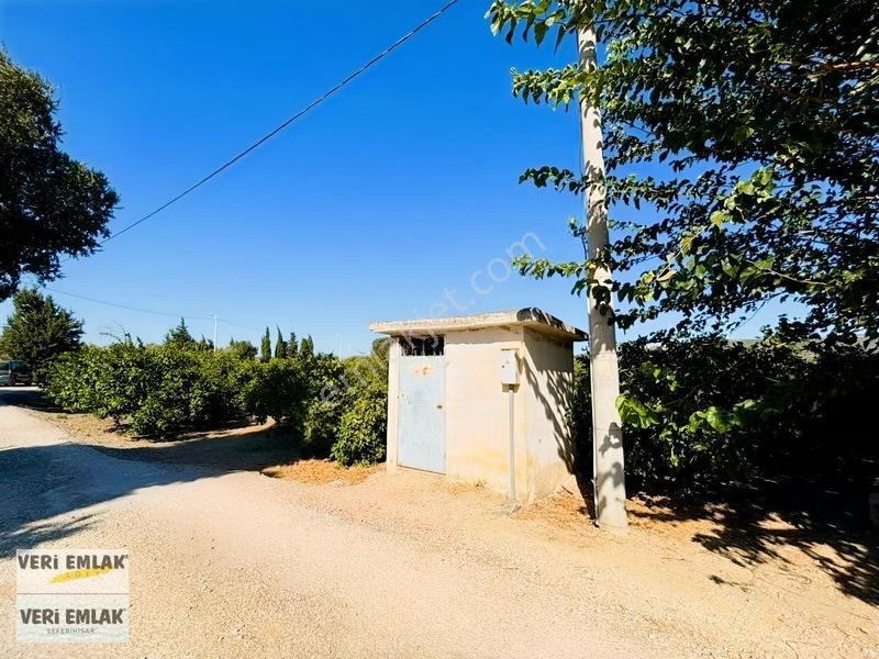 Seferihisar Sığacık Karagöl Mevkiinde 6.474 M² Mandalina Bahçesi — fotoğraf 20