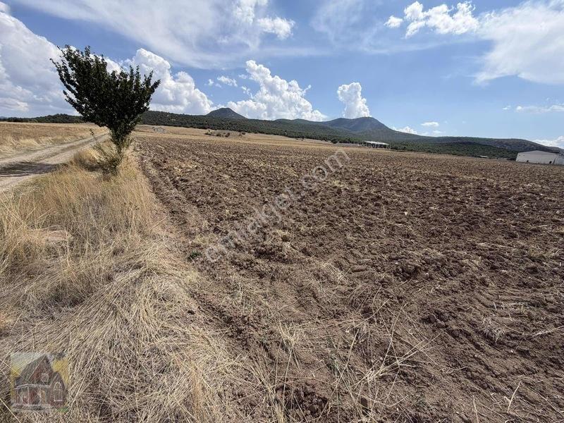 Konya Seydişehir Gevreklide Satılık Tarla — fotoğraf 2