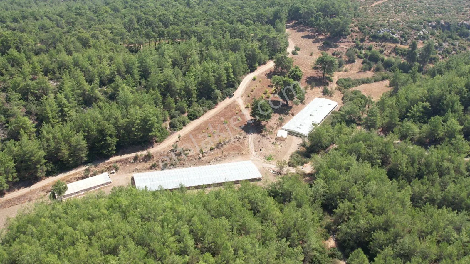 Hisseli Fiyatına Satılık Tek Tapu Çile Köyü — fotoğraf 6