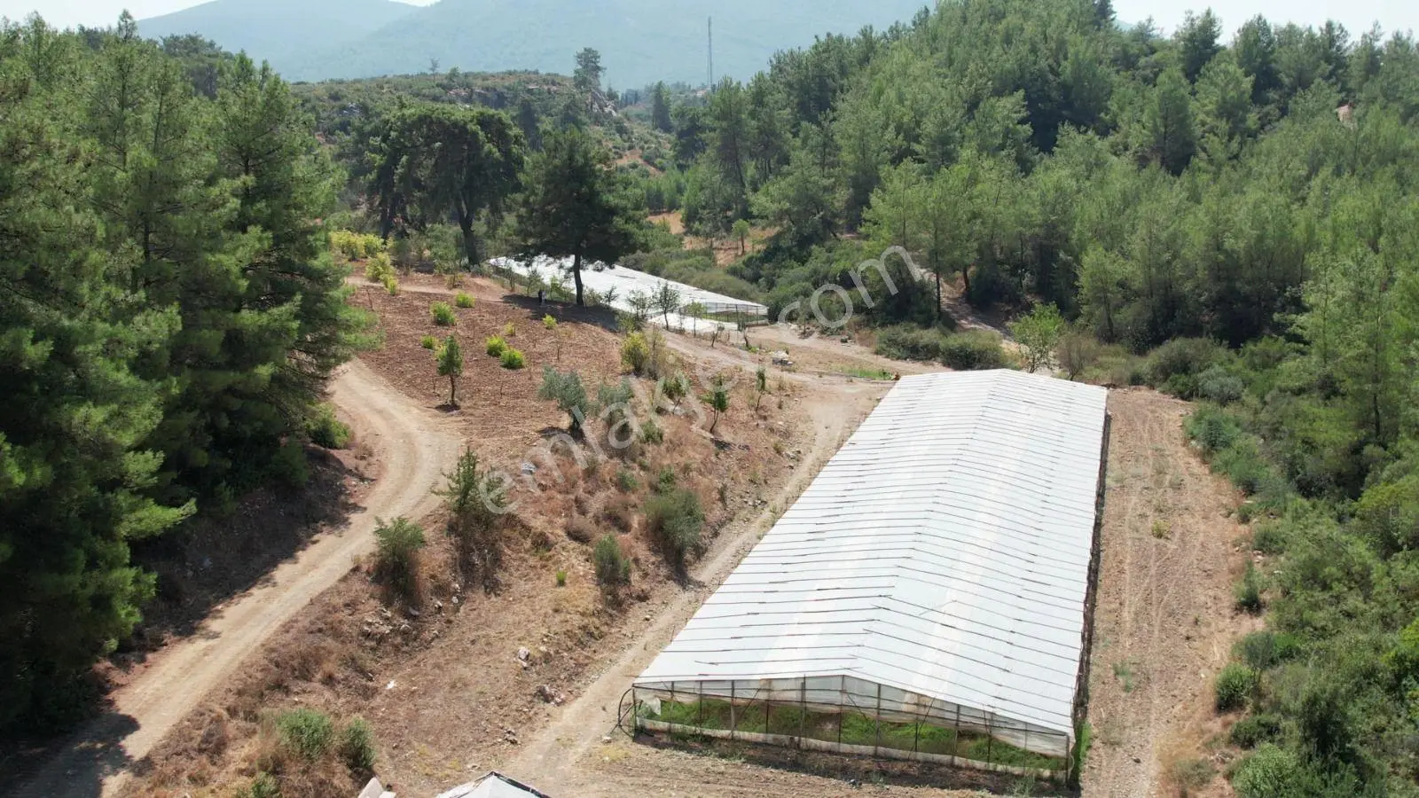 Hisseli Fiyatına Satılık Tek Tapu Çile Köyü — fotoğraf 12