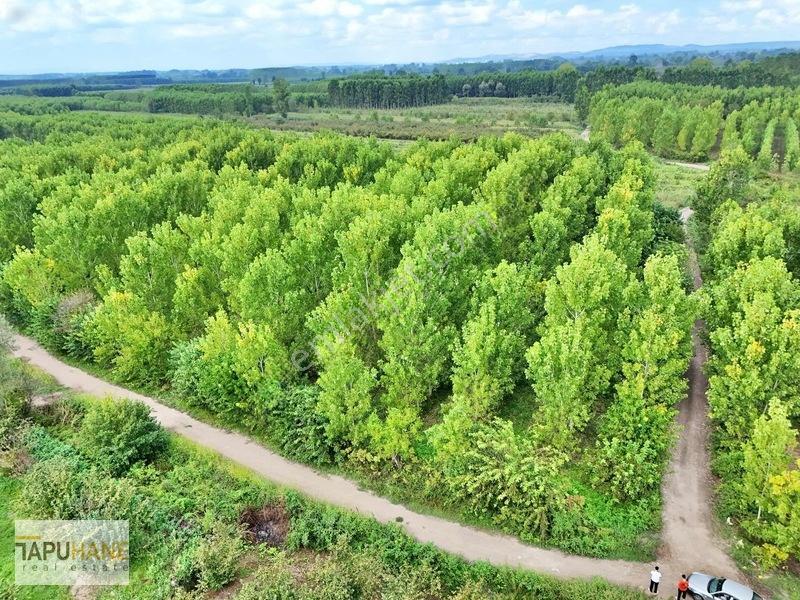 Tapuhane'den Çamlıcada Satılık 13.460m2 Kavaklık — fotoğraf 3