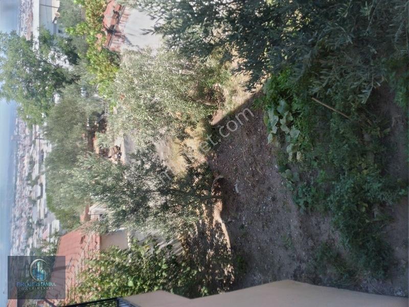 Dogalgaz Kombili 301m2 Arsalı Manzaralı Müstakil Satılık Bina — fotoğraf 17