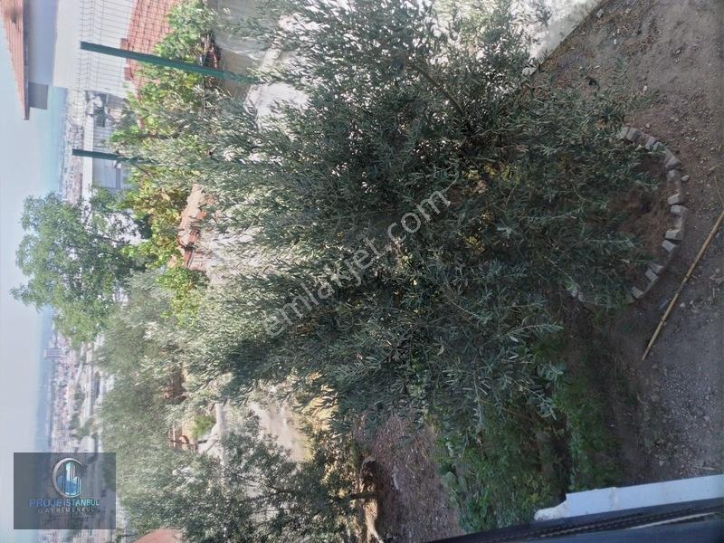 Dogalgaz Kombili 301m2 Arsalı Manzaralı Müstakil Satılık Bina — fotoğraf 18