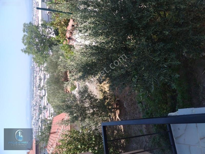 Dogalgaz Kombili 301m2 Arsalı Manzaralı Müstakil Satılık Bina — fotoğraf 19