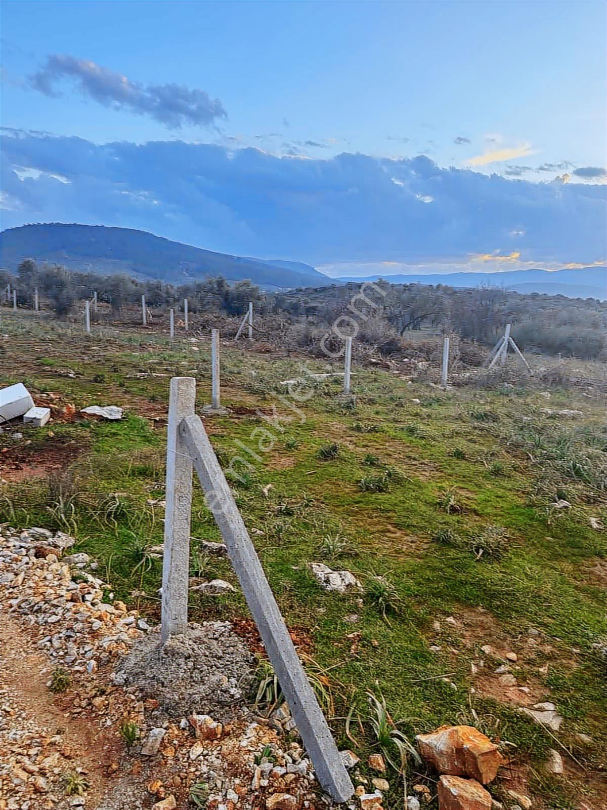 Berk Emlak'tan Menderes Çakaltepede Satılık Bahçe — fotoğraf 15