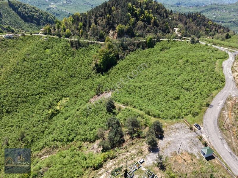 Uzman Emlak'tan Satılık Yol Kenarı Fındık Bahçesi — fotoğraf 2