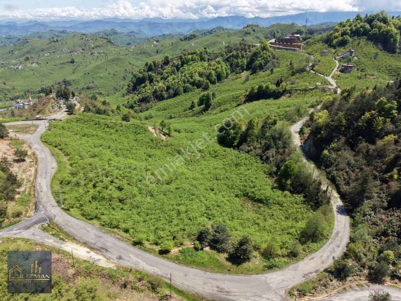 Uzman Emlak'tan Satılık Yol Kenarı Fındık Bahçesi — fotoğraf 5