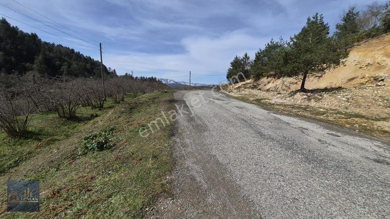 Uzman Emlak'tan Satılık Yol Kenarı Fındık Bahçesi — fotoğraf 12
