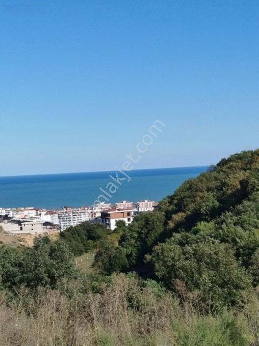 Kapanmaz Deniz Manzaralı Eşyalı Daire — fotoğraf 2