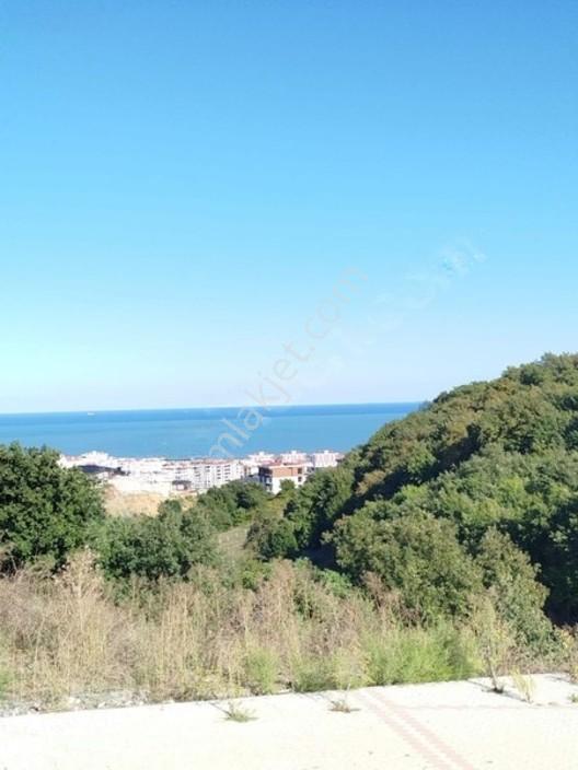Kapanmaz Deniz Manzaralı Eşyalı Daire — fotoğraf 3