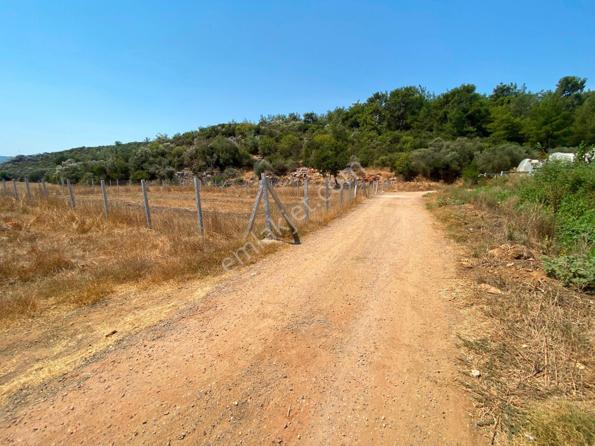 Remax Arma'dan Menderes Çakaltepe'de Satılık Rızai Taksimli — fotoğraf 2