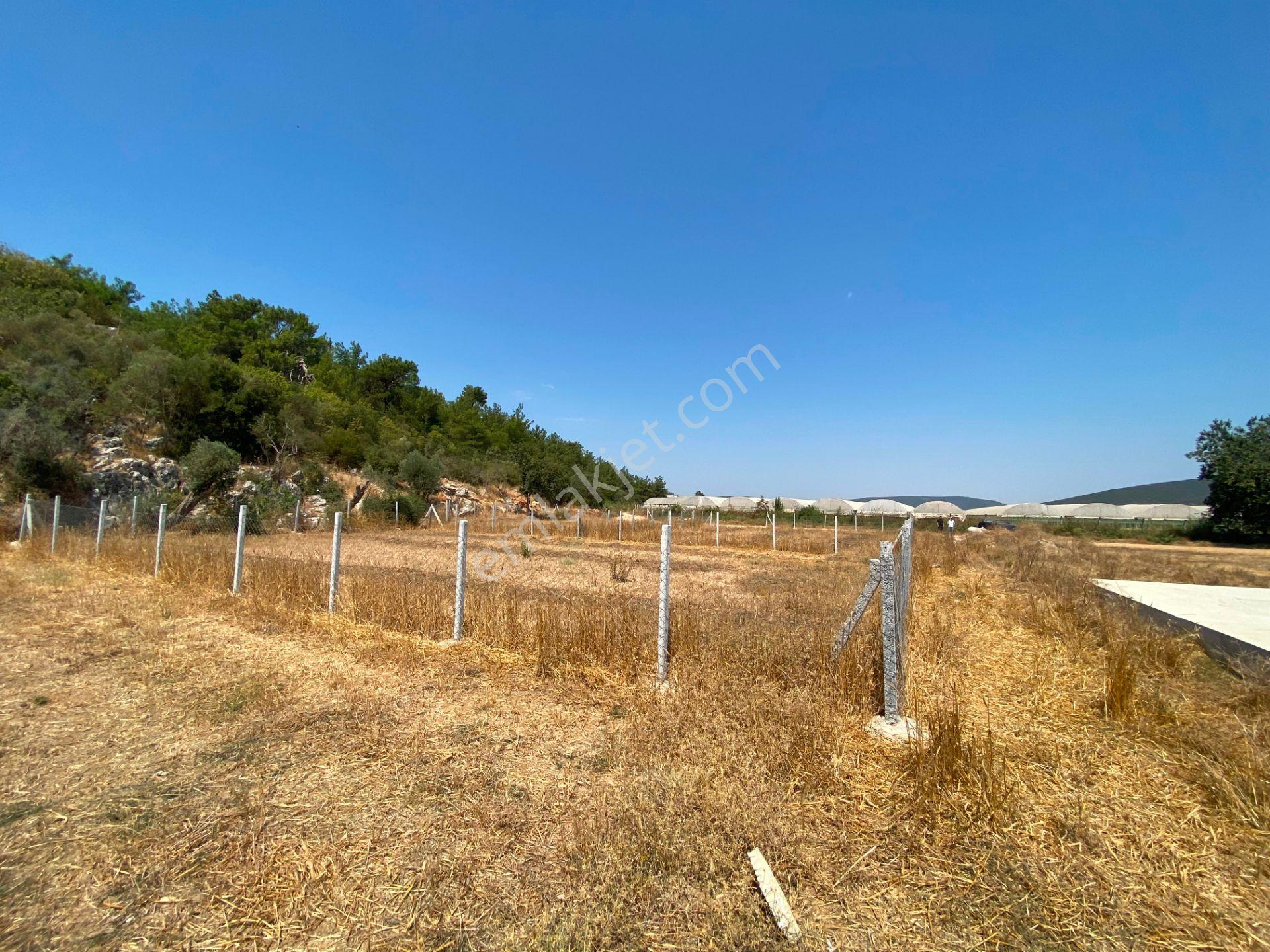 Remax Arma'dan Menderes Çakaltepe'de Satılık Rızai Taksimli — fotoğraf 3