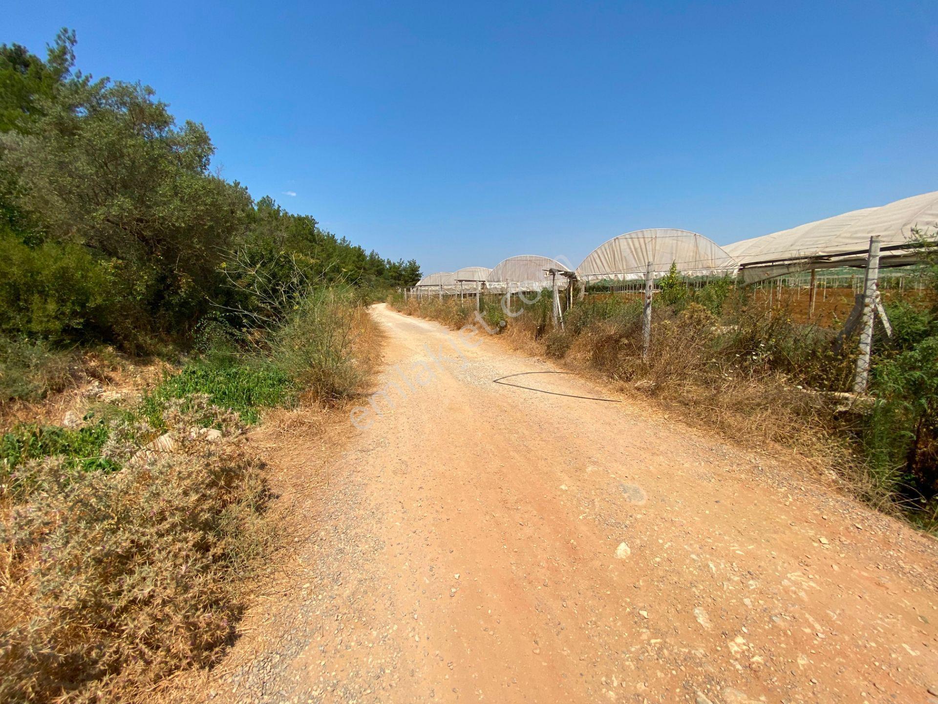 Remax Arma'dan Menderes Çakaltepe'de Satılık Rızai Taksimli — fotoğraf 4